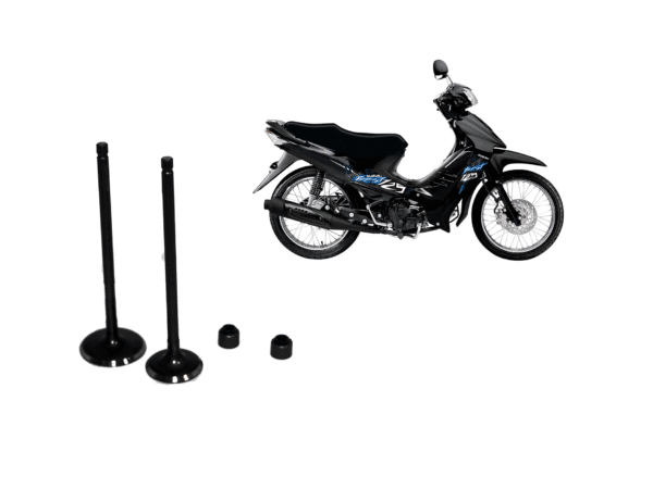 JUEGO DE VALVULAS AX4 Y VIVA R