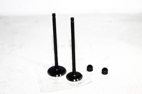 Válvulas + Sellos Auteco Pulsar Ns 200