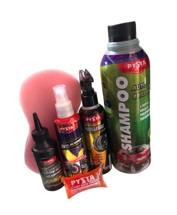 Kit De Aseo De Pysta Para Moto O Carro