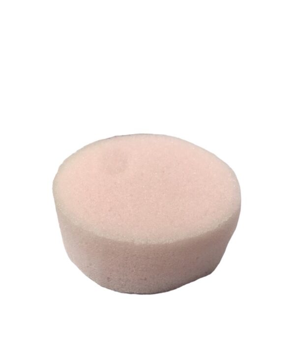 Esponja para limpiar pysta