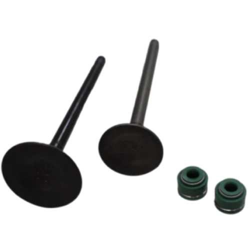 Kit Válvulas AK 125 Akt Original